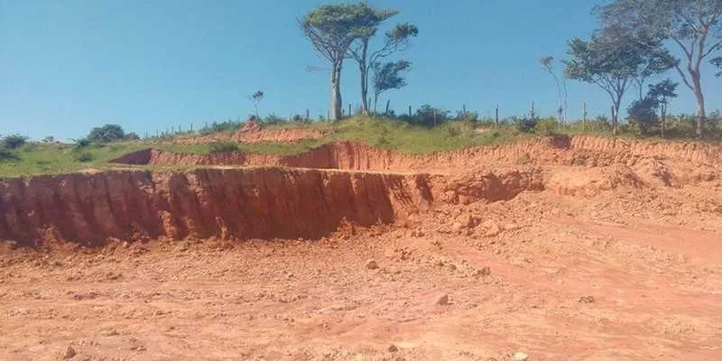 Proprietários não possuíam as licenças legais para atividade