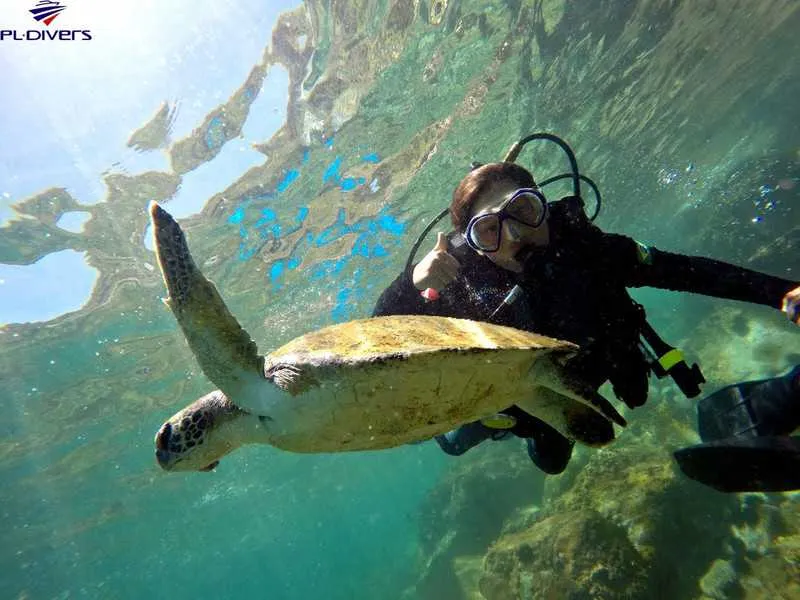 Cerca de 80 mil pessoas praticam anualmente o mergulho em diferentes praias do município