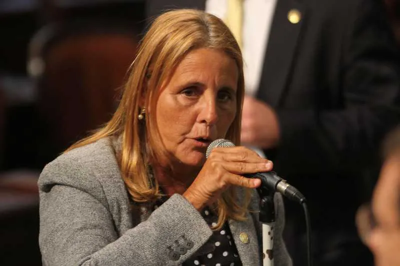 Lei, que entra em vigor em 60 dias, é da deputada Lucinha