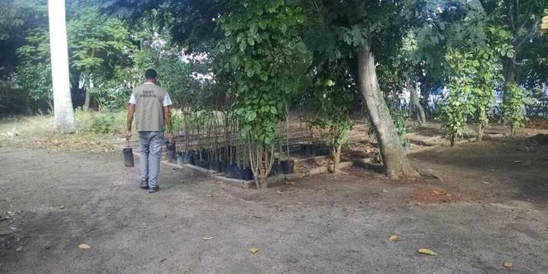 Postes de iluminação foram reinstalados, o portão foi trocado e mudas começaram a ser plantadas