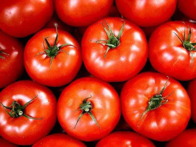 O tomate foi o item da cesta que mais barateou: quase 3%