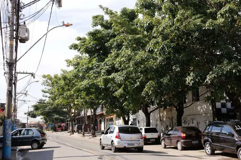 Árvores invadiram a fiação elétrica e deixam calçada escura