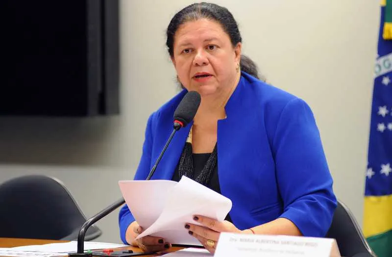 Deputada Laura Carneiro é a autora do texto substitutivo da lei
