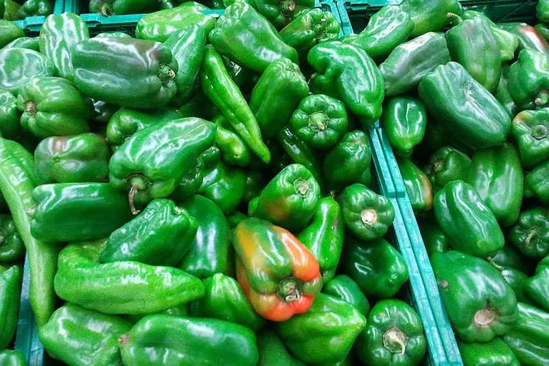 Itens de hortifruti são os que mais baratearam, caso do pimentão