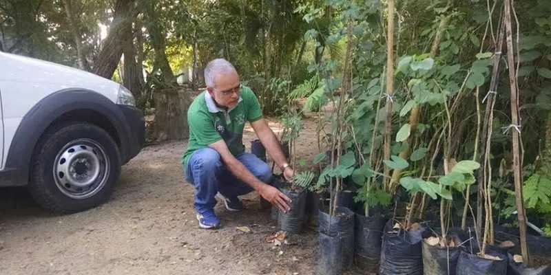 O ‘Reflorestando os Bairros’ auxilia na rearborização de espaços públicos, através de doações de mudas para os moradores