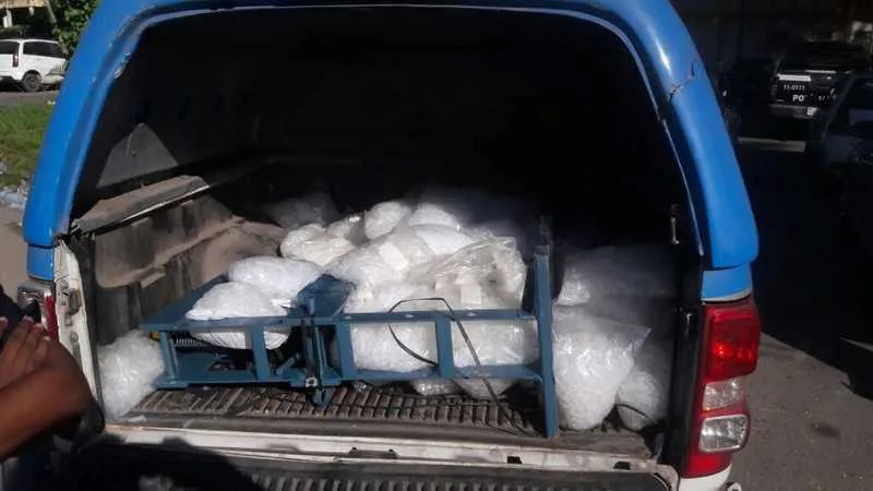 Duzentos mil pinos foram encontrados pela polícia no local