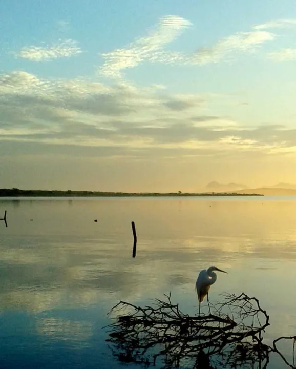 Lagoas da cidade receberam diferentes cliques da fotógrafa Ariana Marins, moradora de Zacarias