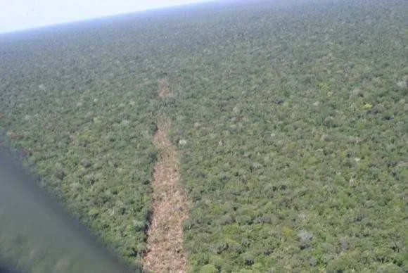Entidades defendem veto de medidas provisórias que alteram limites de floresta e parque na Amazônia