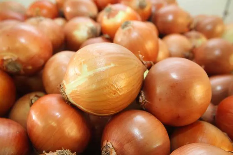 A cebola foi o item da cesta que registrou o maior aumento: 18%