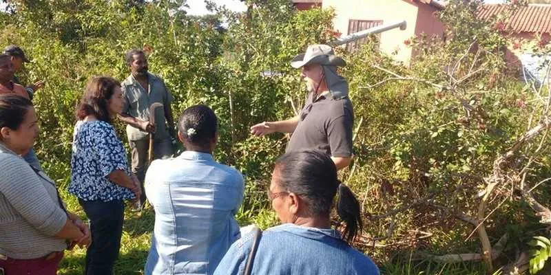 Profissionais aprenderam a técnica para colheita da aroeira