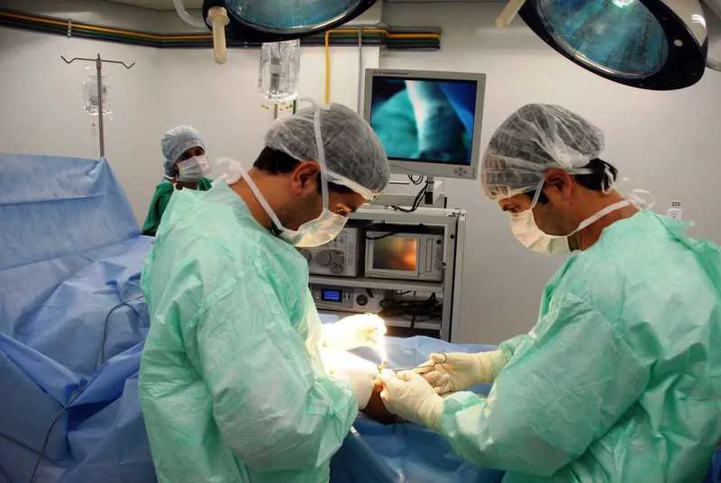 Foram realizados 96 transplantes em maio no estado