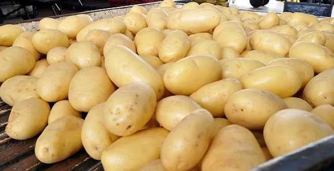 Batata inglesa: um dos itens de hortifruti que teve leve ‘queda’