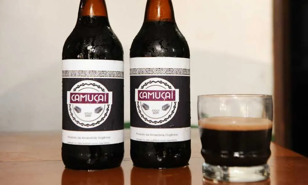 Imagem ilustrativa da imagem Estudante do Amapá cria cerveja antioxidante feita com açaí