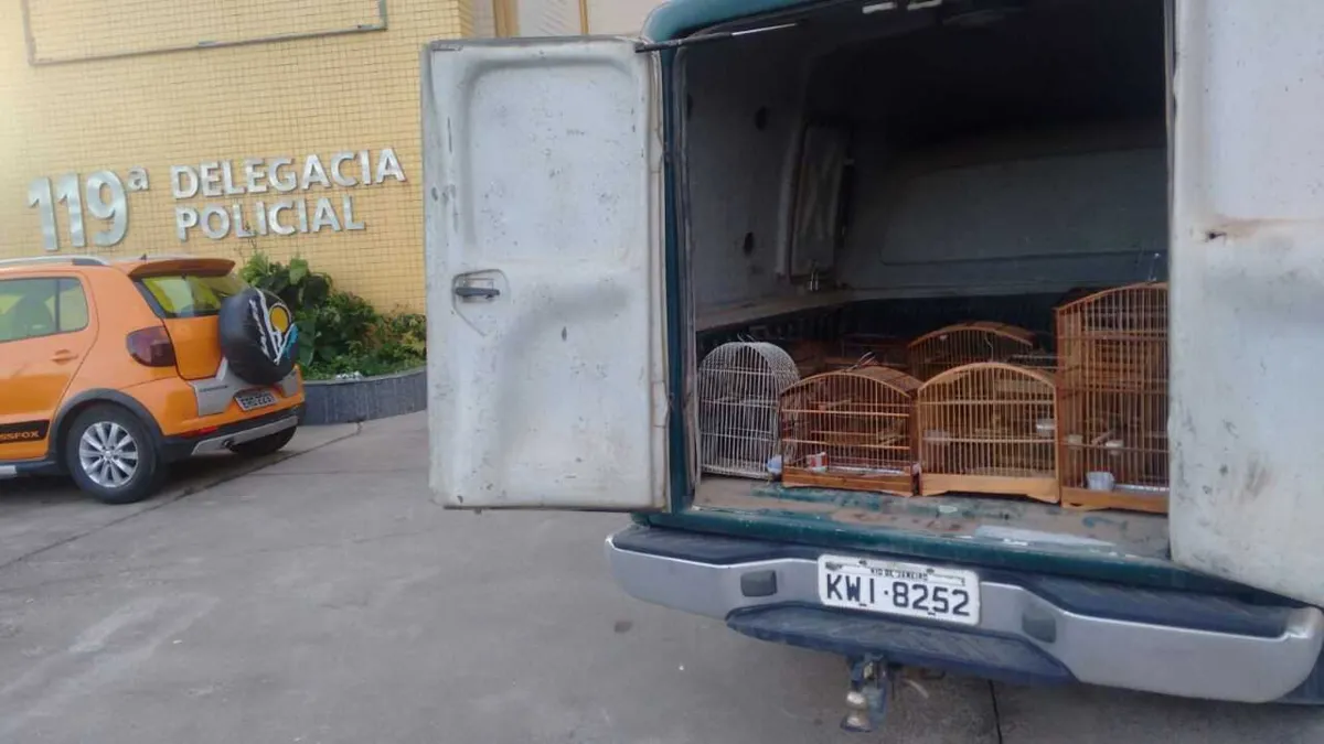 Na operação, foram resgatadas 26 aves