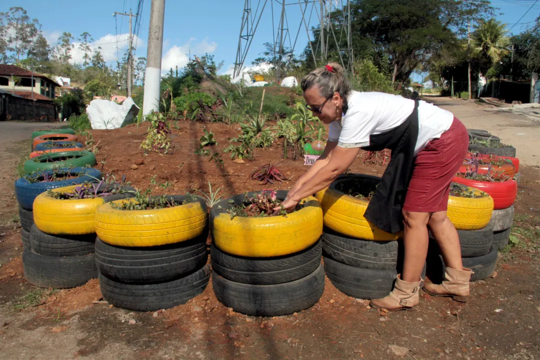 Ana Barreto e o marido limparam terreno baldio e o transformaram em jardim com pneus usados