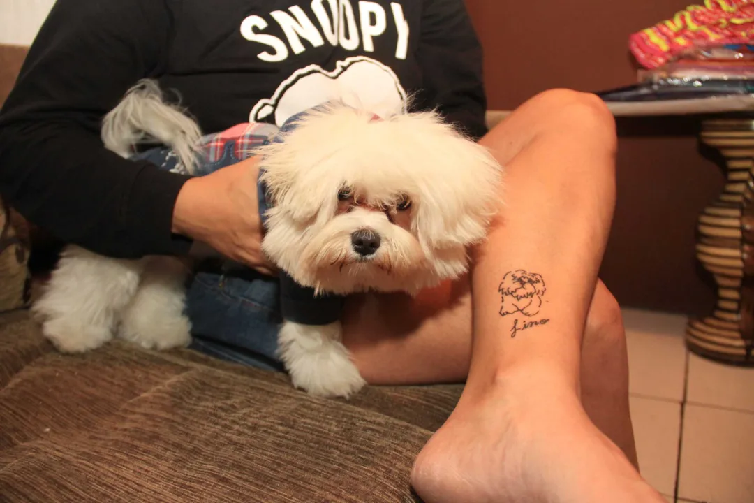 PET - Amor de 'mãe' tatuado na pele
A enfermeira Renata tatuou Lino e seu nome em sua perna