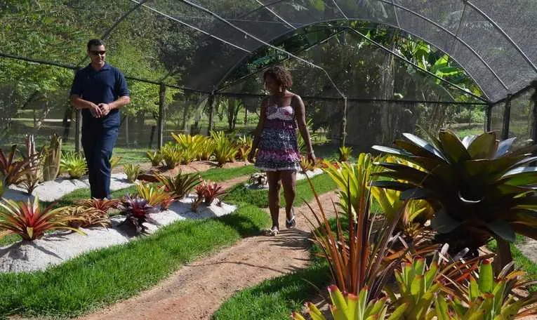 Imagem ilustrativa da imagem Parque Municipal é reaberto com atividades variadas à população