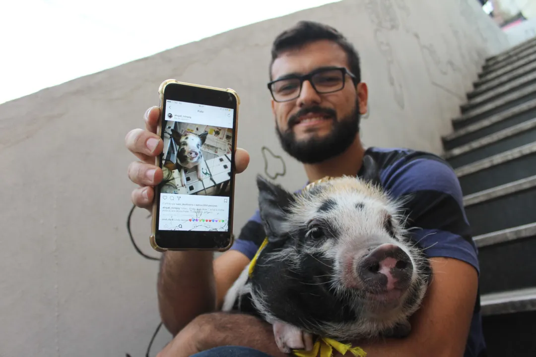A porquinha acabou virando uma celebridade na internet
