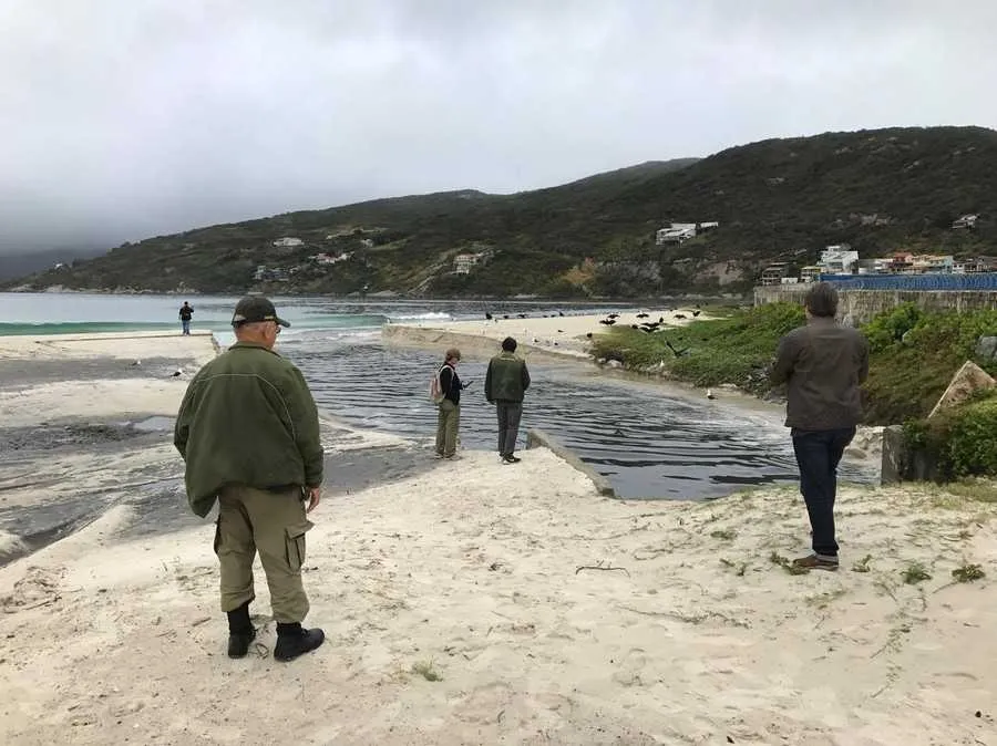 Empresa é acusada de despejar esgoto na Praia dos Anjos