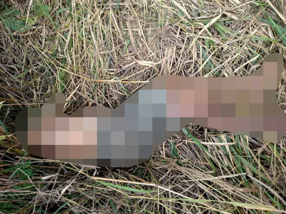 Corpo de Valnei foi encontrado em uma área de mata do bairro