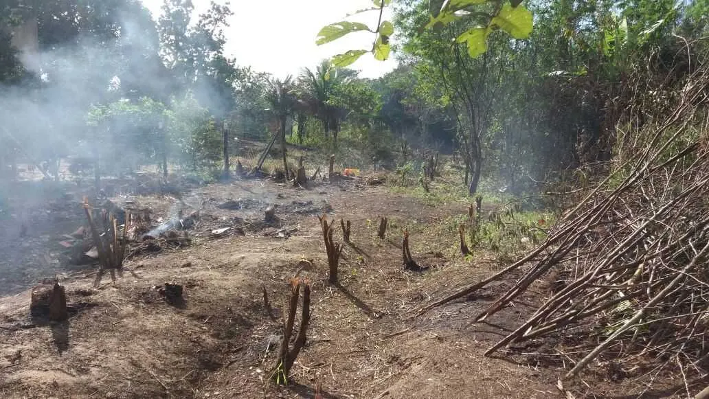 Agentes da Unidade de Policiamento Ambiental encontraram o terreno após denúncia anônima
