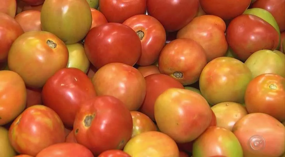Nesta semana, o produto que está mais barato é o tomate.