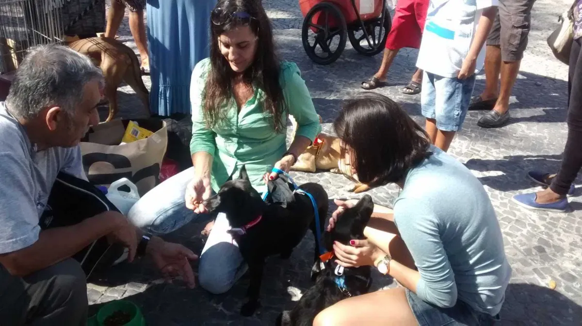 Estarão disponíveis para adoção mais de 30 animais, entre cães e gatos, filhotes e adultos.