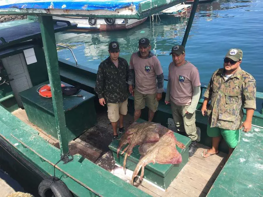 Agentes apreenderam um quilômetro da rede, além de peixes e outras espécies marinhas.