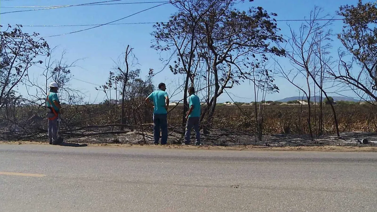 Imagem ilustrativa da imagem Incêndios atingem matas de Búzios e Cabo Frio