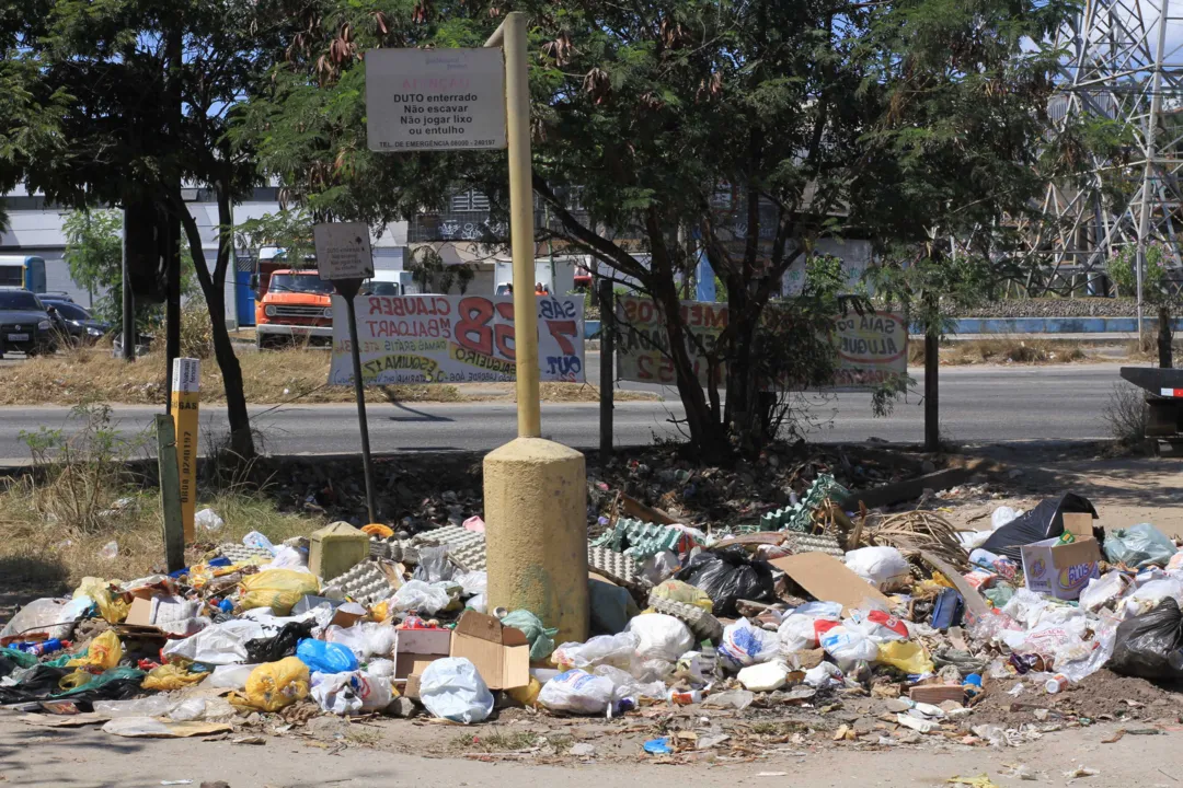 Segundo moradores, o problema é decorrente da falta de coleta.
