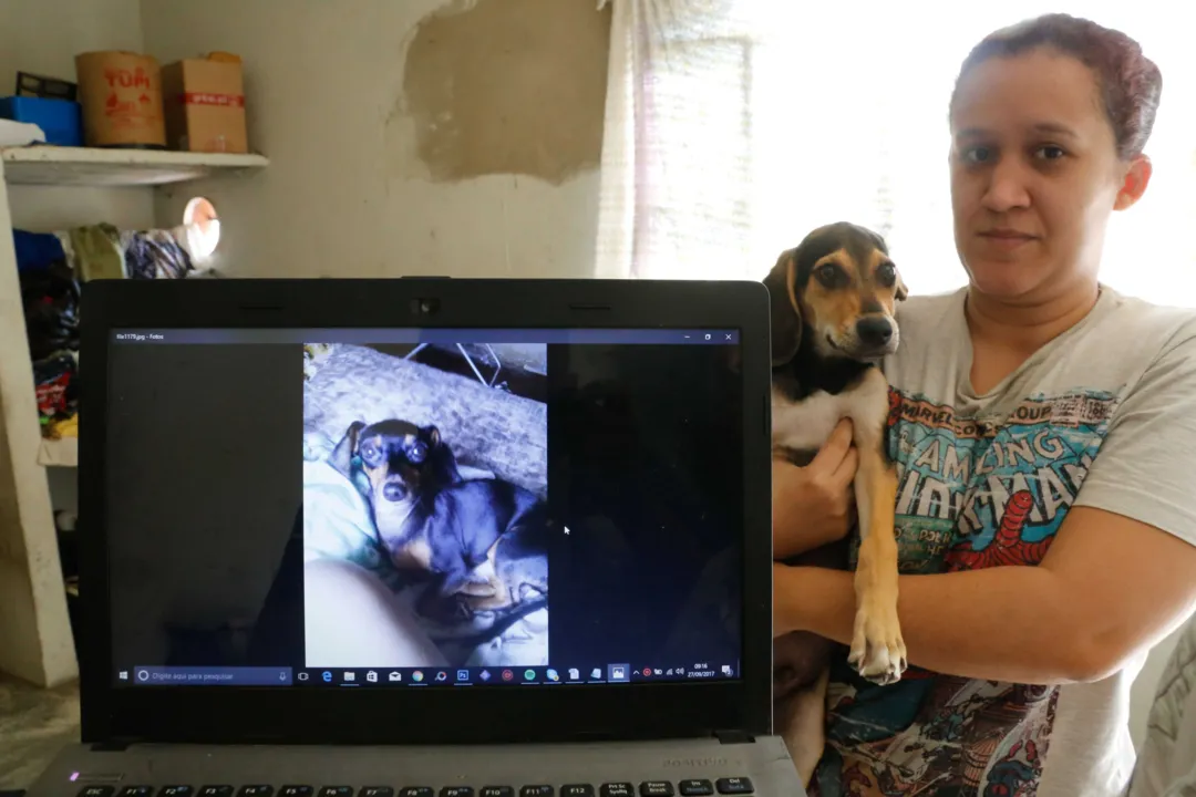 Além do sofrimento da família, o outro cãozinho de Natália, Aquiles, está sem comer pela ausência de Pretinho