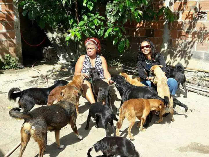 O projeto visa a arrecadação de medicamentos de uso veterinário e humano, usados ou novos, e ração