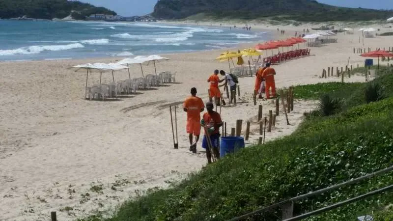 >> A vegetação de toda a Praia do Peró está sendo recuperada com plantio de Ipomeias