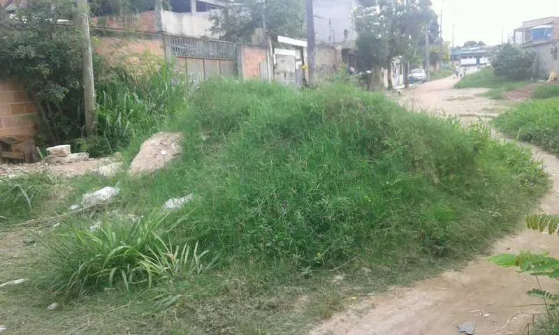 Bloqueio de barro formou um arbusto