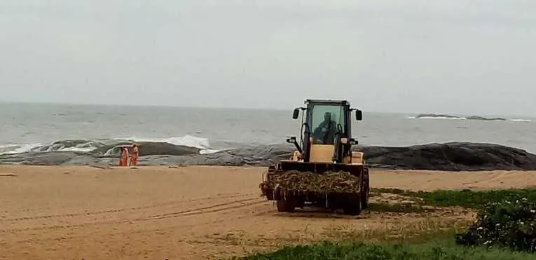 >>A Lagoa de Iriry deve voltar ao normal em no máximo dez dias, dependendo da maré.