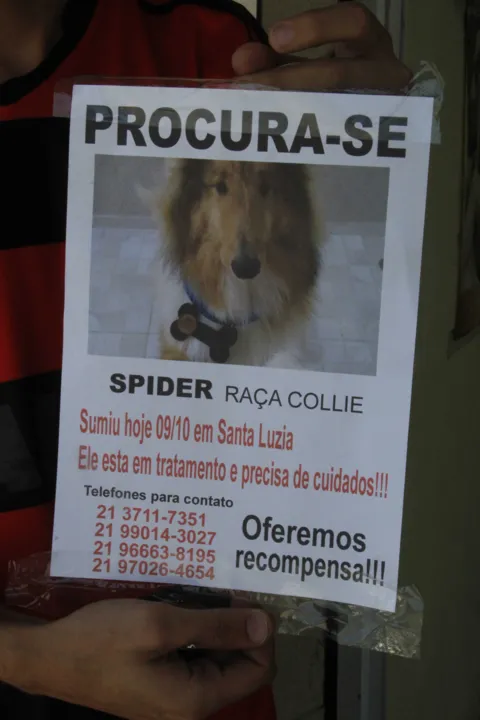 Cão Já estava há cinco anos na família 