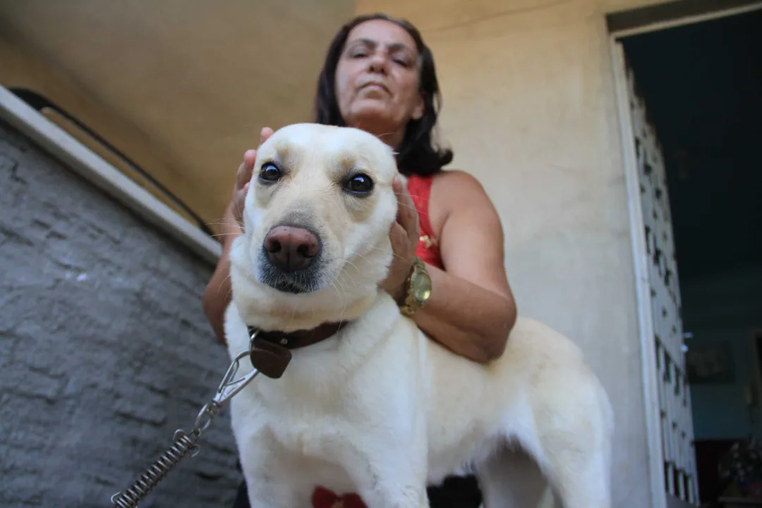 Fiona, de 5 anos, fica assustada quando escuta barulho de rojões e 'pede' para entrar em casa