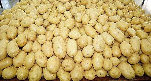 >> Batata é o produto com a maior queda de preço na semana