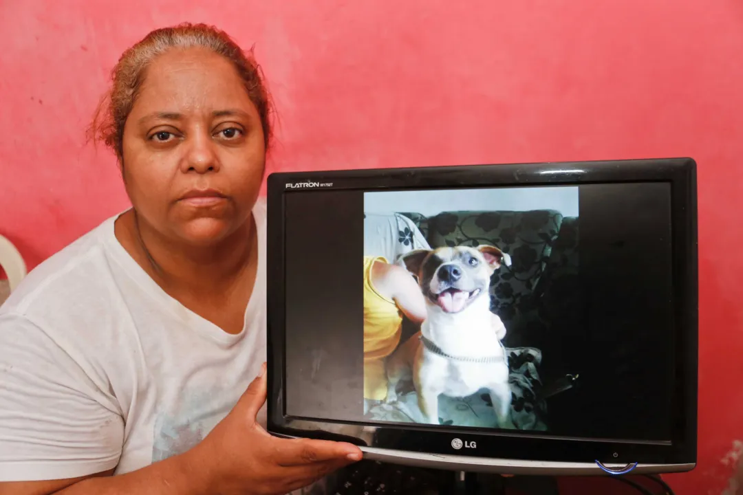 >> Há sete anos na família, Barão fugiu com a namorada e não voltou