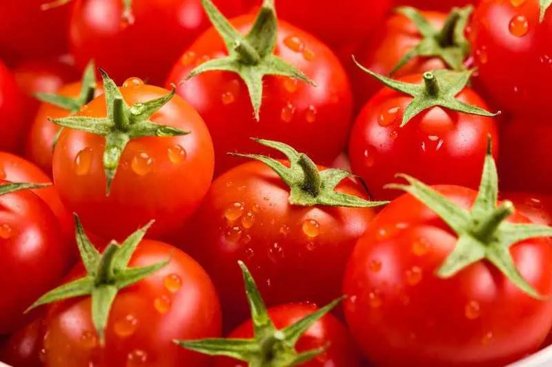Tomate está entre os produtos que ficaram mais caros