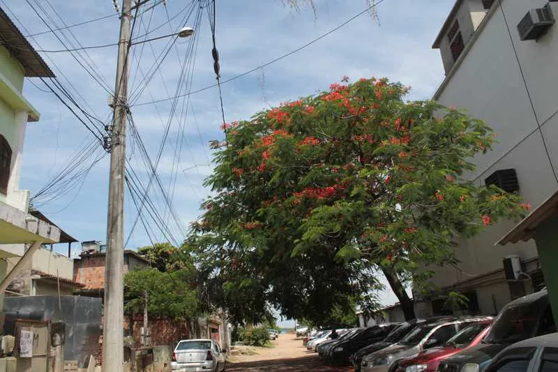 >> Quando venta, serviços de telefonia e energia são interrompidos
