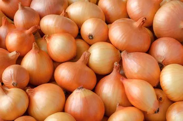 A cebola teve redução de 43% no valor em relação a junho