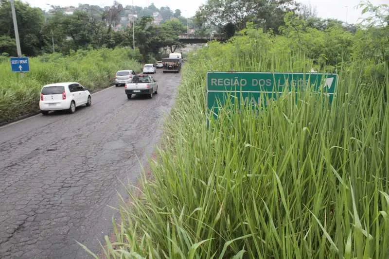 Matagal toma conta de diferentes trechos da rodovia RJ-104