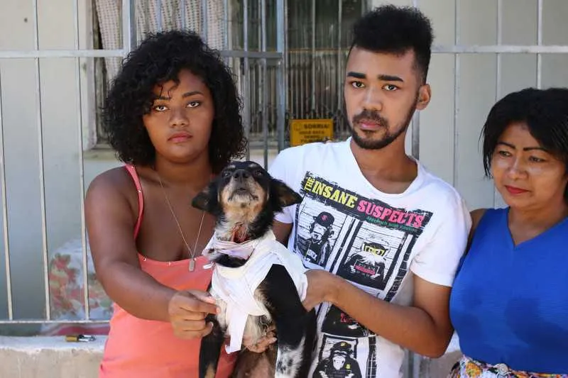  Família do Jóquei, donos da cadelinha ‘Nega’, está inconformada com ataque de pitbull