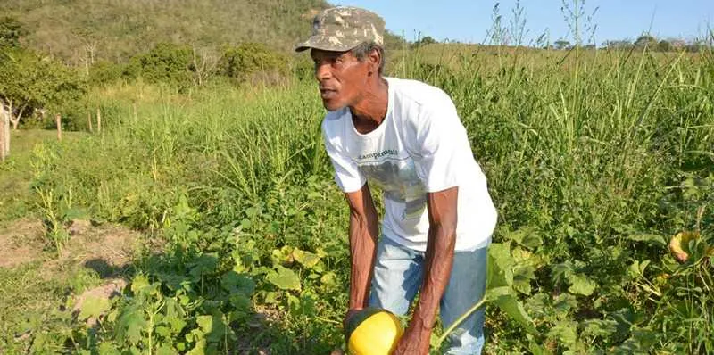 Programa Fazenda Legal tem objetivo de incentivar a formalização dos pequenos empreendimentos