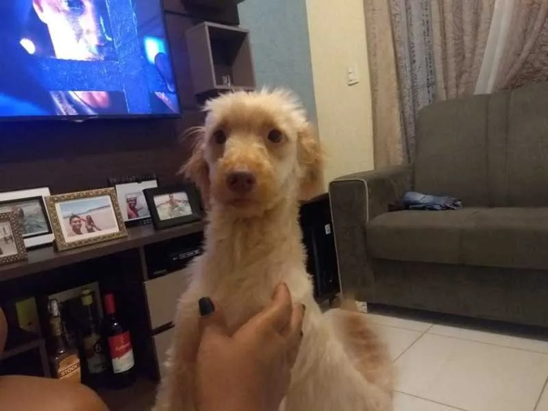 Bob está sumido há 9 dias