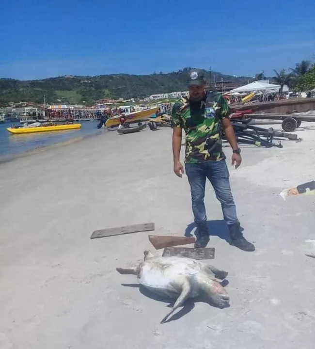 O animal estava no canal de navegação, próximo a embarcações.
