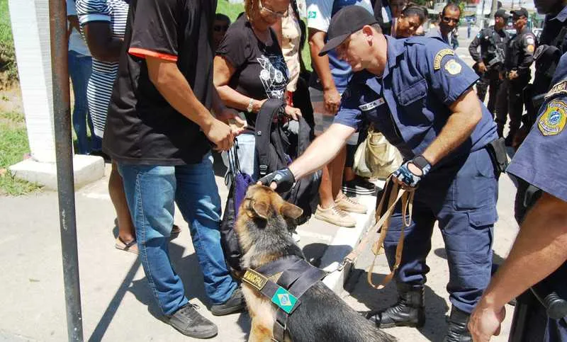 Animais serão usados nas ruas em caráter permanente, em auxílio as operações realizadas por policiais militares que atuam na cidade