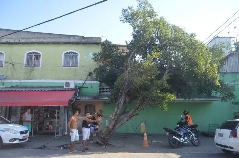  A árvore está caindo e os moradores temem que haja um acidente
