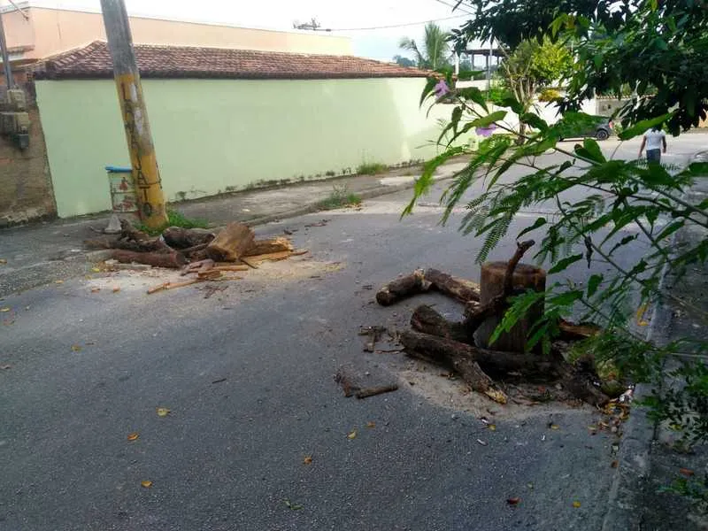 Traficantes fecharam ruas de Marambaia com troncos de árvores